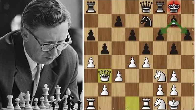 В.Смыслов-М.Эйве： Игра против ТУПОГО слона! Шахматы.
