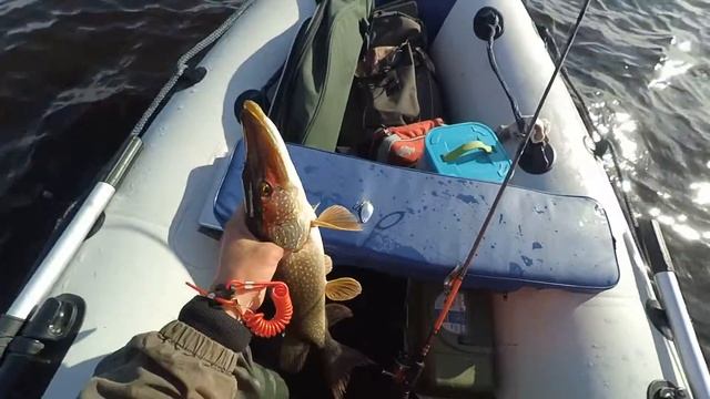 Щука на Негито смотреть онлайн