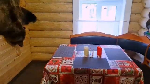 Я Москвич. Прогулка по озеру Селигер. Поиск нового жилья. Переезд на новое место. Обзор базы отдыха смотреть онлайн