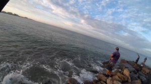 Скумбрия, Рыбалка, Как Поймать Скумбрию, Скумбрия, Мексиканский Залив!