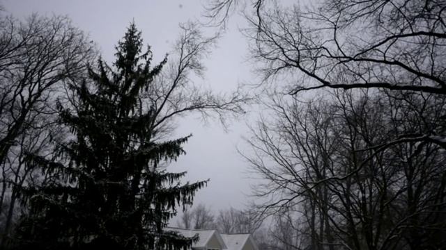 1 Amazing Scary Christmas Love Story + 3 Evil Santa Horror Stories