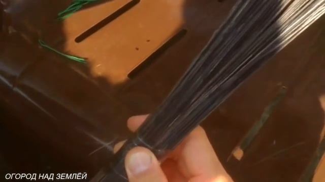 КЛУБНИКА В ТРУБАХ/ПРАВИЛЬНОЕ РАЗМНОЖЕНИЕ КЛУБНИКИ В ТРУБАХ! смотреть онлайн