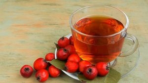 ШИПОВНИК: Состав, Польза, Вред. Лечебные свойства. При каких заболеваниях. Как правильно заваривать
