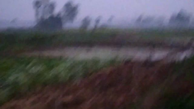 Mamar bari Vlog || THE BONG CASE || ❤ смотреть онлайн