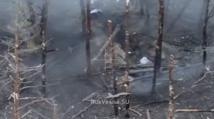 Бойня у Синьковки: бойцы ЗВО уничтожили целое подразделение ВСУ в окопах