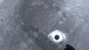 Заключительная рыбалка на Судака в 2022 году. Волга Сюкеево