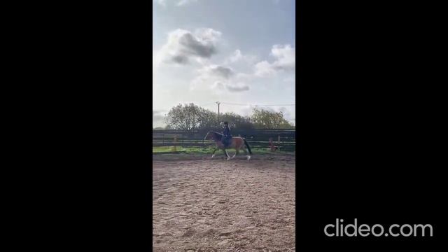 Идеальный детский катательный пони-класс. Арт.: 0071 смотреть онлайн