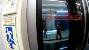 Приморская-Новокрестовская