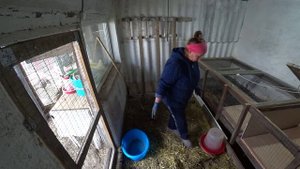 НАПАЛА ТЛЯ? УЖАС ПРОВЕРЯЕМ РОЗЫ ?ПЕРВАЯ ГРОЗА ???РАСШИРЯЕМ ЦЫПАМ ЖИЛЬЕ???