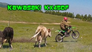 KAWASAKI Kx450f V/S Иж-ПЛАНЕТА 5