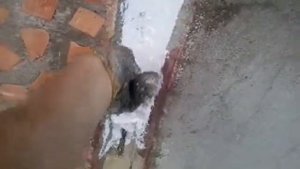 Грунтовка и НАКИДЫВАНИЕ мастики