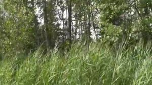 Людмила Зыкина   Ты Россия моя