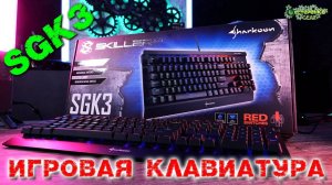 Kailh Red Обзор Игровой Клавиатуры SHARKOON SKILLER MECH SKG3