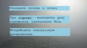 Топаз Свойства камня/Магические и лечебные свойства камней/Камни приносящие удачу и богатство