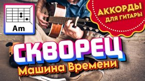 СКВОРЕЦ - МАШИНА ВРЕМЕНИ (АККОРДЫ И ТЕКСТ - В ОПИСАНИИ) КАК ИГРАТЬ (ПРОСТАЯ ПЕСНЯ НА ГИТАРЕ) COV