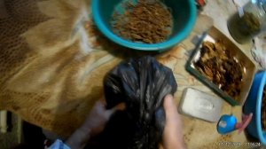 Ферментация табака своими руками на батарее