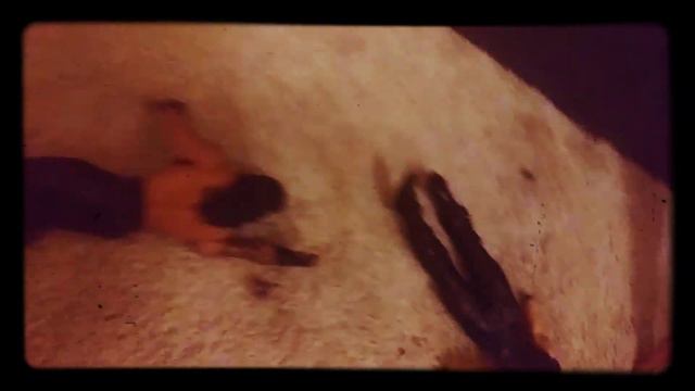 Kidnapped senson 2 #8 (Braun payback) смотреть онлайн