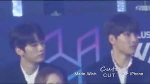 STRAY KIDS & (G)I-DLE [STRAYIDLE] ALL MOMENTS COMPILATION 2018-2019