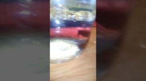 Меняю воду у рыбки петушок