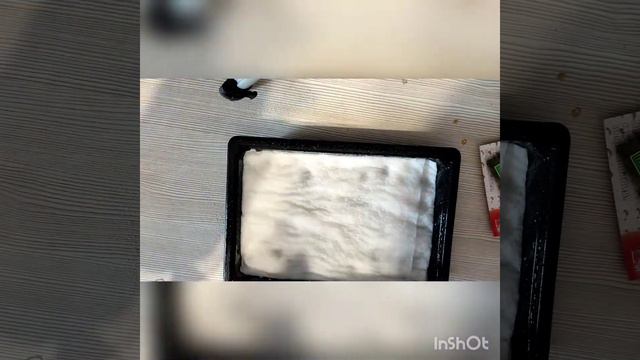 Сею землянику Душистое лукошко. Земляника из семян.