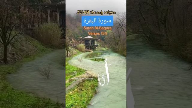 Surah Al-Baqara | Surah-2 | Ayat 154-156 | Urdu Translation of Quran | Urdu tarjuma of Quran | Qura