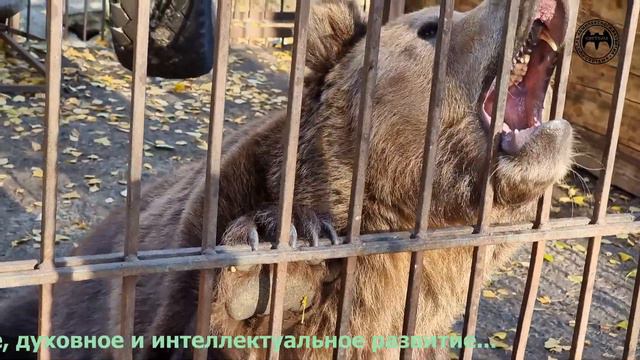 Абзаково 2021 часть 1 смотреть онлайн