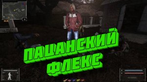 БАГИ, ПРИКОЛЫ, ФЕЙЛЫ ► S.T.A.L.K.E.R. - Ф.О.Т.О.Г.Р.А.Ф