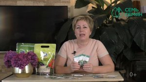 ОГОРОД НА ПОДОКОННИКЕ: ЧТО НУЖНО, ЧТОБЫ ВСЕ ТОЧНО ПОЛУЧИЛОСЬ!