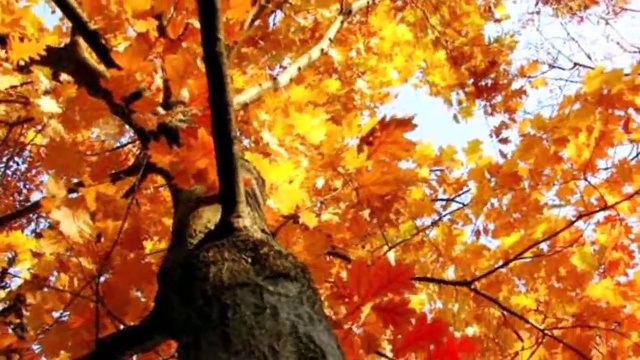 ВАЛЬС - ВОСПОМИНАНИЕ смотреть онлайн