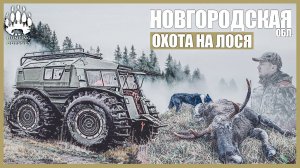 ПЛОХОЙ ВЫСТРЕЛ, СЛОЖНЫЙ ДОБОР ПОДРАНКА, НЕУДАЧИ СОБАКИ