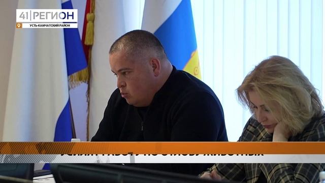 Новости Камчатки за 19 октября 2023 года