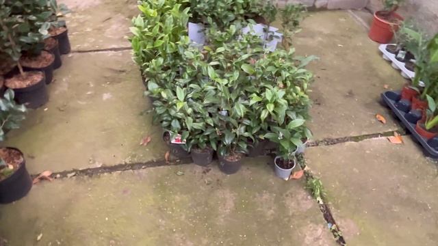 Завершаем осенний сезон ??? смотреть онлайн