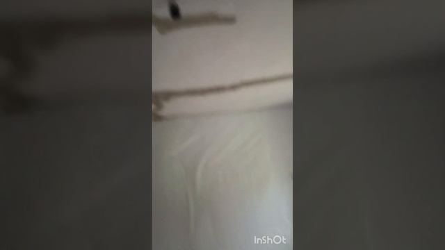 Как мы купили дом в селе?#строительство#ремонт#ремонтсвоимируками#домвселе смотреть онлайн