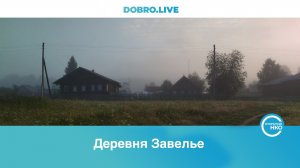 Семья из Северодвинска переехала в пустующую деревню и превращает столетние дома в музеи.