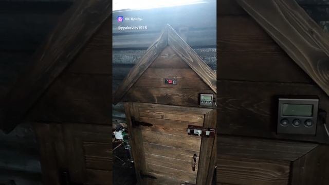 копчения окуня в Сибирской коптильни.
