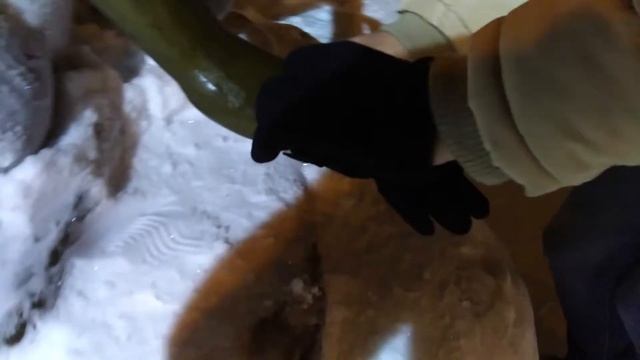 Серия 4 - Ассоль Фасоль смотреть онлайн