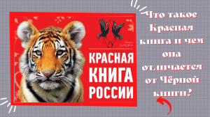 Узнай, что такое Красная книга и чем она отличается от Чёрной книги?