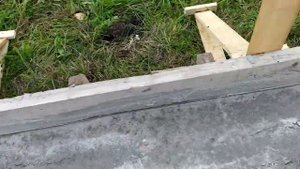 Фундамент, выдавило опалубку...