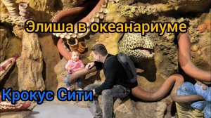 Океанариум Крокус Сити