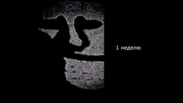 Сколько времени на моем канале не выходят видео смотреть онлайн