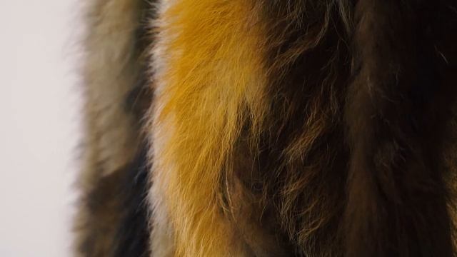 Шапка шамана смотреть онлайн