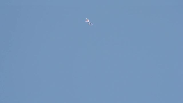 Витязи выступают в Кирове. Снято на #nikon. смотреть онлайн