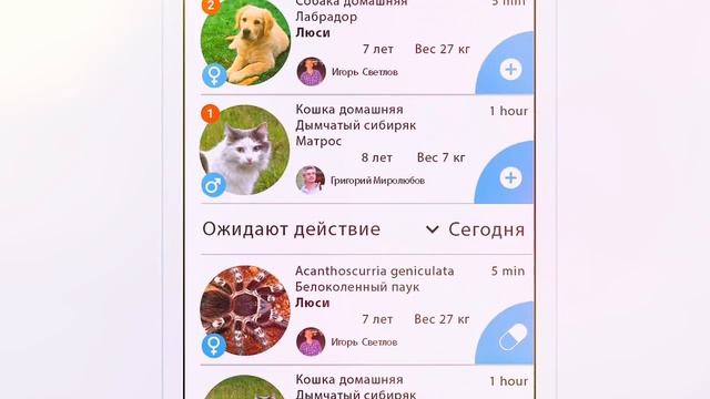 Интерактивная энциклопедия о Флоре и Фауне - FFnotes.com смотреть онлайн