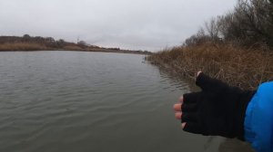 МИКРОДЖИГ на реке! Окунь, щука, судак и сазан на спиннинг CF Optimus 712ULS