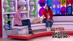 Видели видео? Часть 2. Выпуск от 28.02.2021