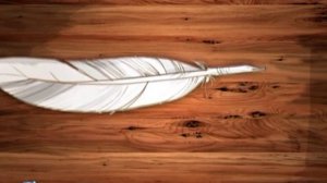 Потомучка 03. Гусиные перья