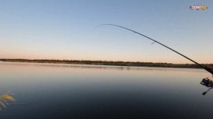 Рыбалка на спортивном водоёме Каневской. Такой рыбалки я давно не видел. Щука и карп порадовали нас