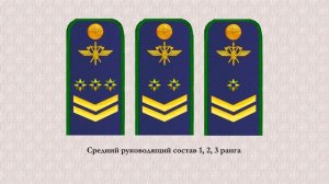 Ведомственная охрана железнодорожного транспорта Российской Федерации образца 2013 года
