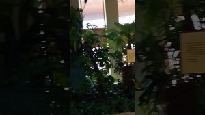 Казанский ЗооБотСад