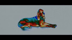 Legion - Окружающая среда